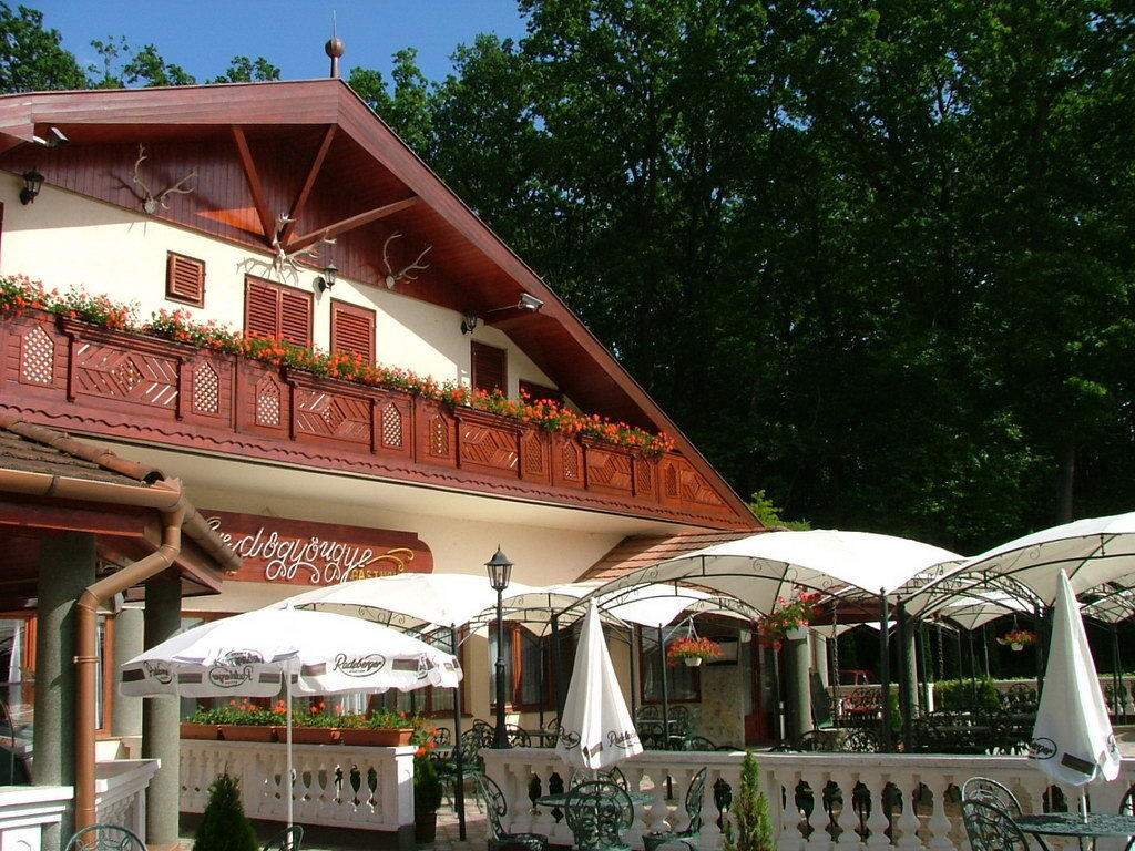 Hotel Erdogyongye Etterem Es Panzio Zalaegerszeg Exteriér fotografie