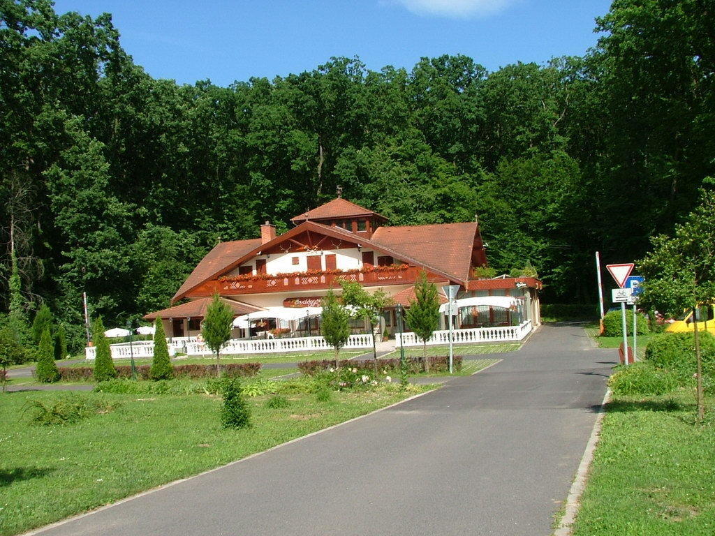 Hotel Erdogyongye Etterem Es Panzio Zalaegerszeg Exteriér fotografie